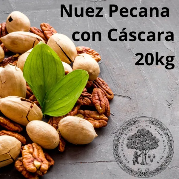 Nuez Pecana con Cáscara 20 kg Mayoreo